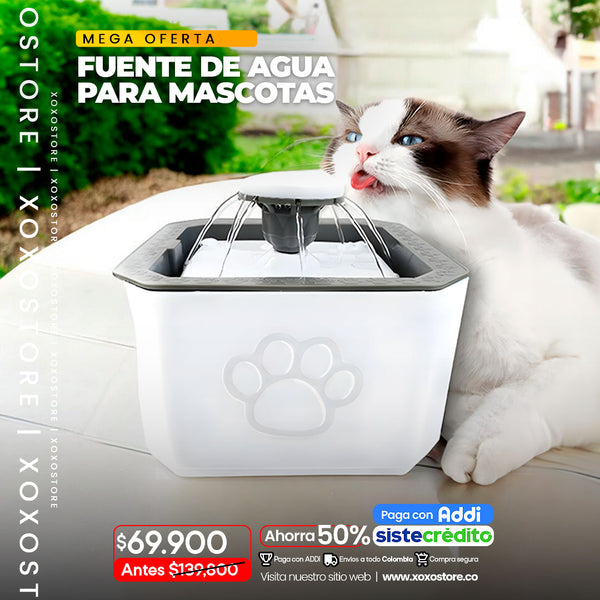 Fuente de agua para mascotas