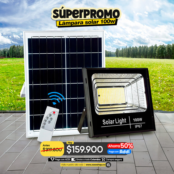 Panel Solar de 100W