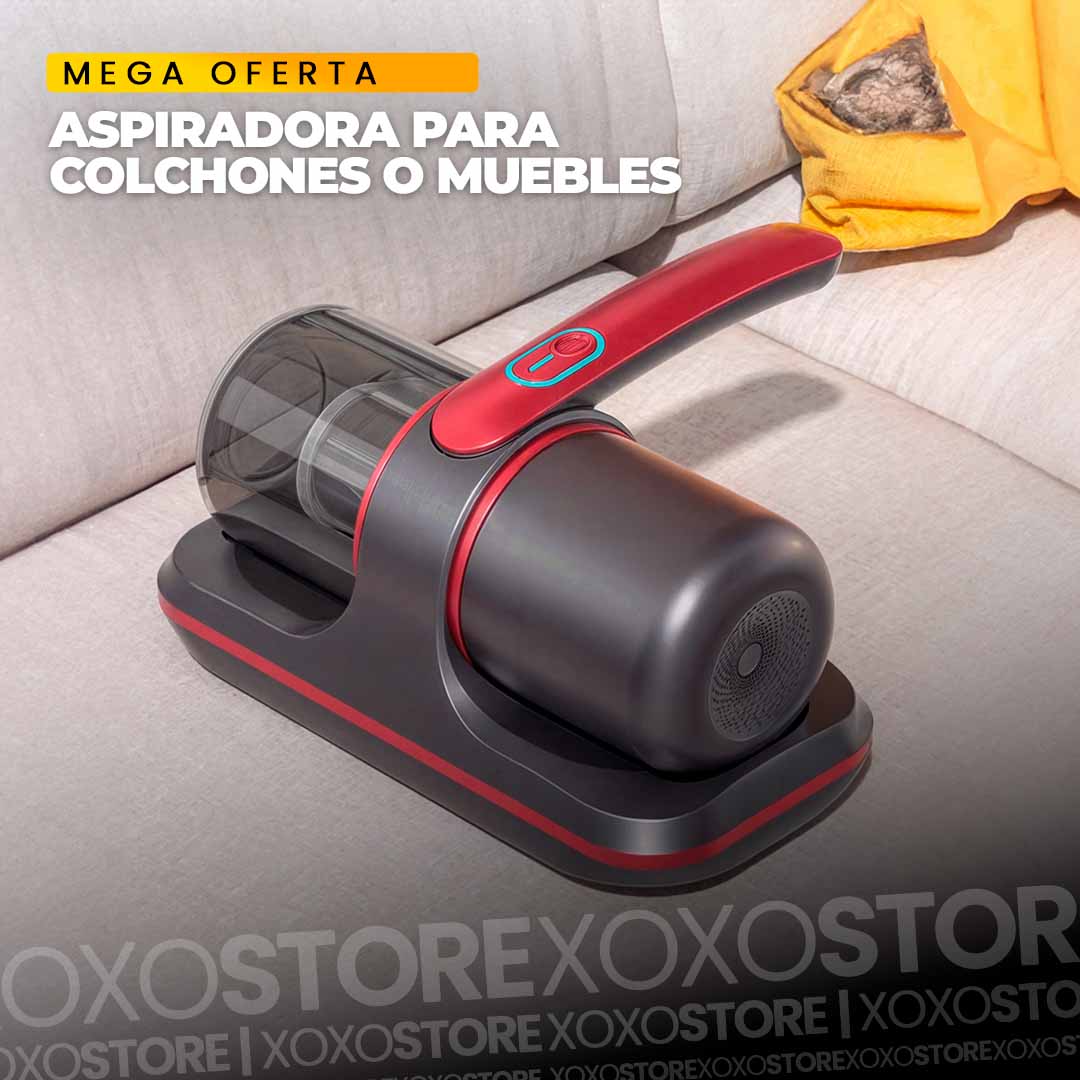 Productos – Página 3 – XoXo tienda